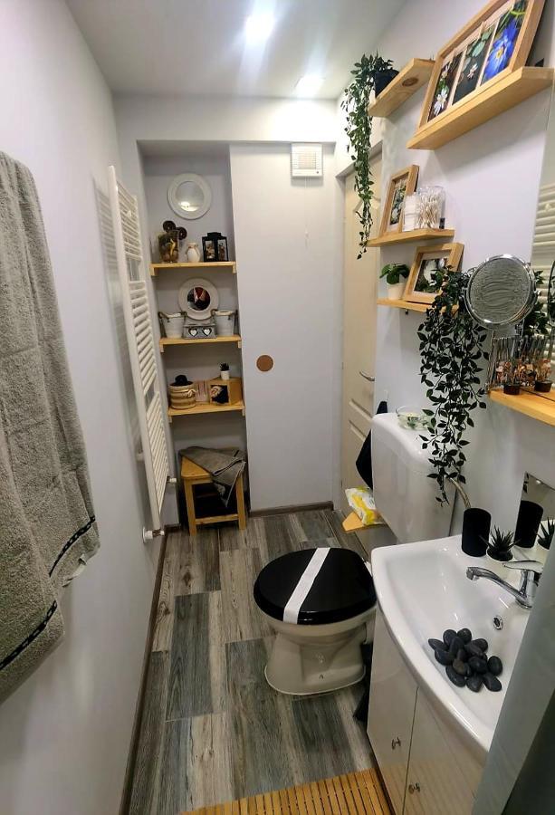 Night Lotus Apartment Хунедоара Екстериор снимка