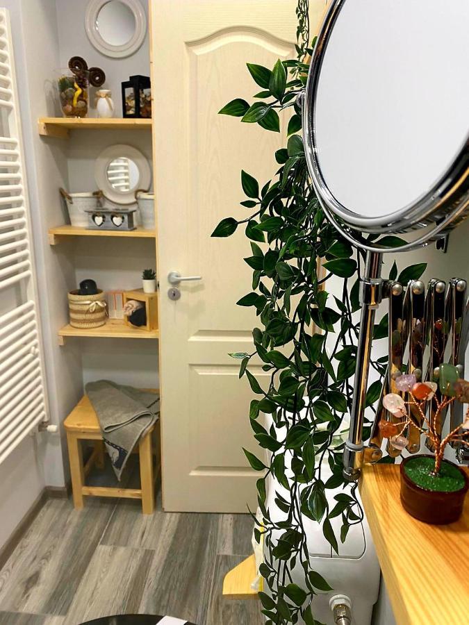 Night Lotus Apartment Хунедоара Екстериор снимка