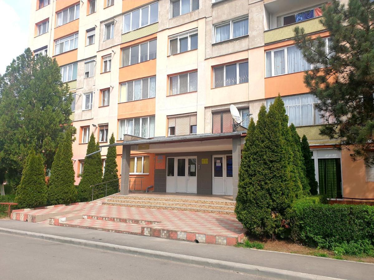 Night Lotus Apartment Хунедоара Екстериор снимка